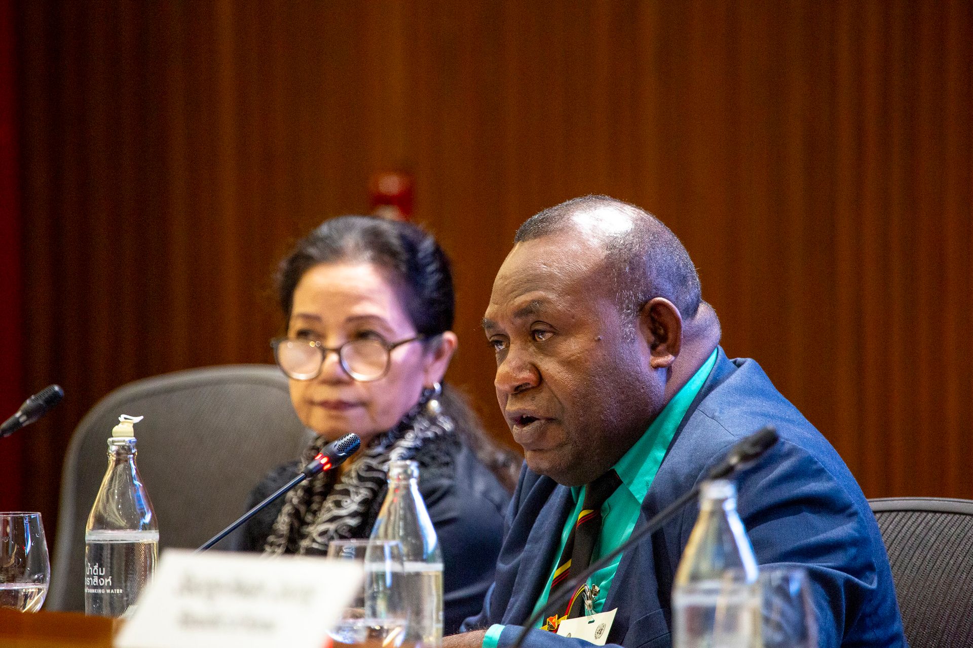 Panel discussions on low-carbon cities and SDG 11